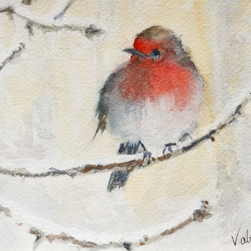 Winter Bird Winter Bird